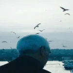 zmngzndp1