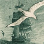Herman Melville Benito Cereno: Post-Kolonyalizm 1 1745520506954158707