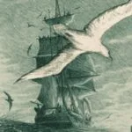 Herman Melville Benito Cereno: Post-Kolonyalizm 1 1745520506954158707