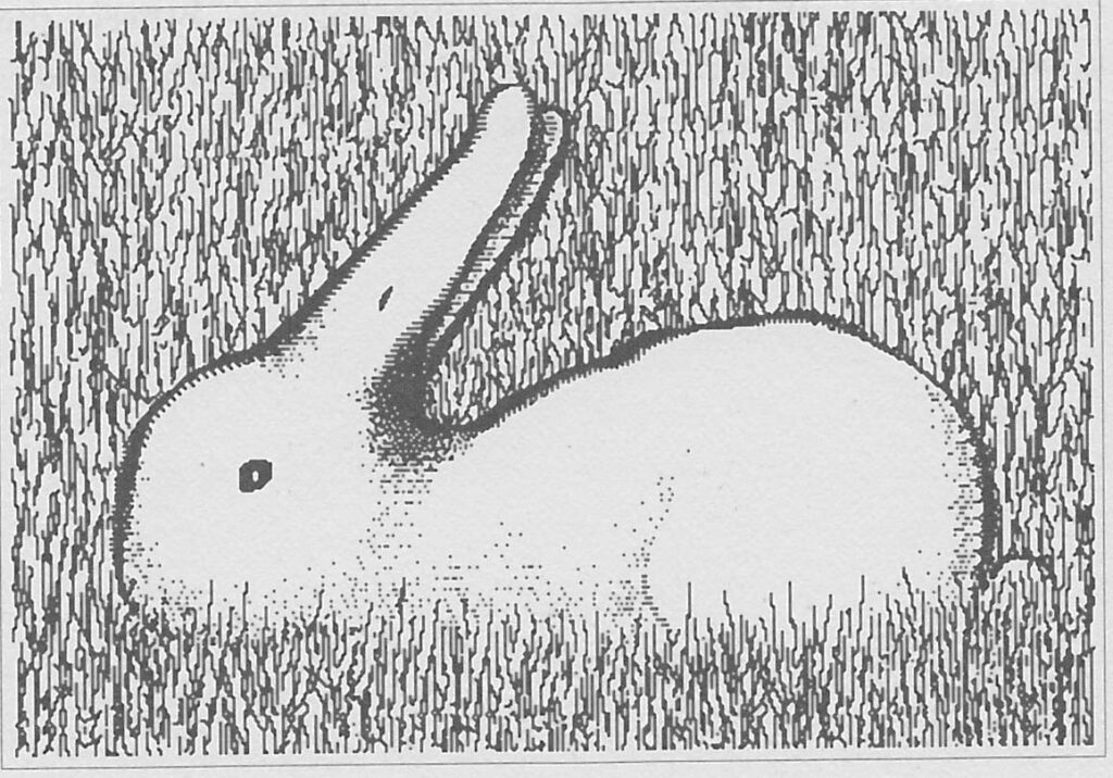 Bilim Felsefesi Üzerine Düşünceler 3 duck v rabbit 3