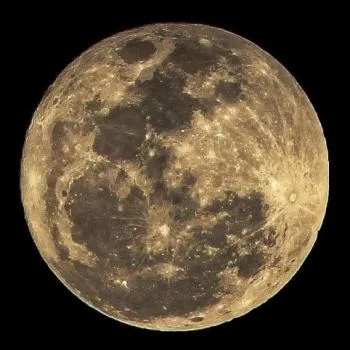 aleorana