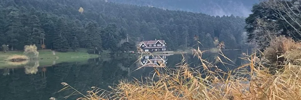 Oğuz Kağan Ceviz