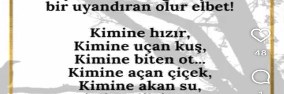 Deniz Özkan