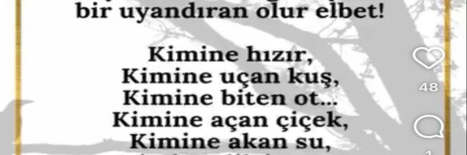 Deniz Özkan