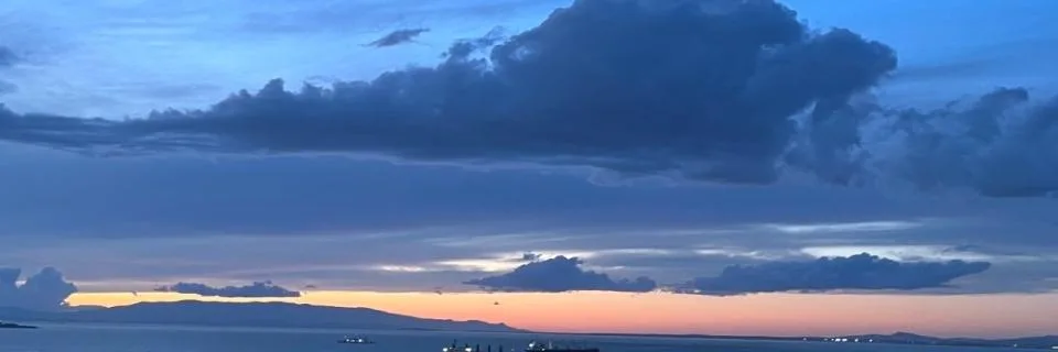 F 