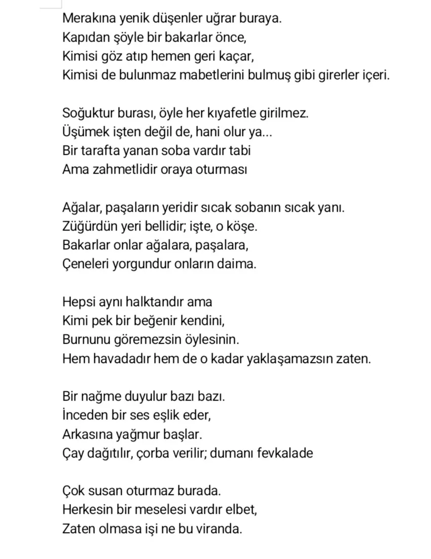 Alki - 1790989357 1 Alki 1790989357
