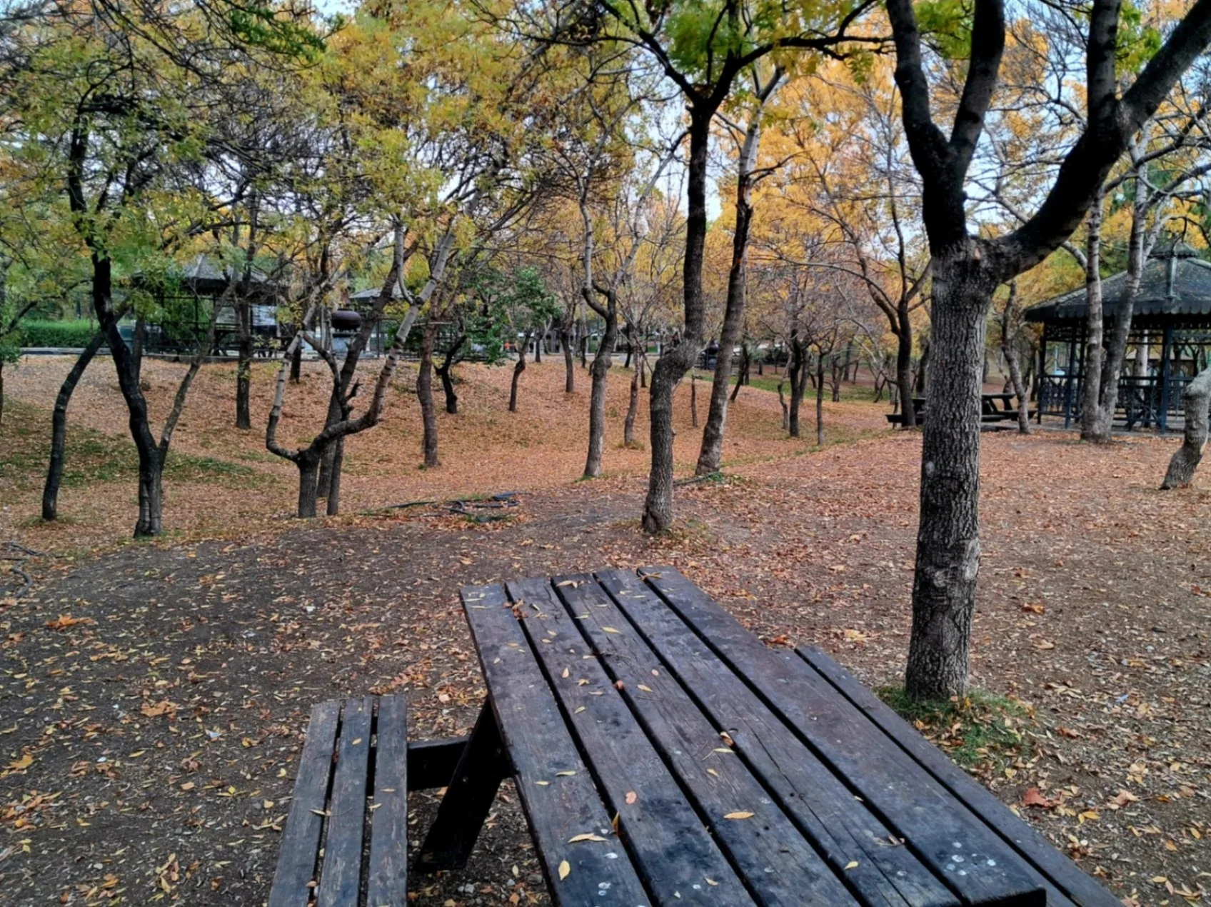 Isimsiz Yokkisi – 1792004541