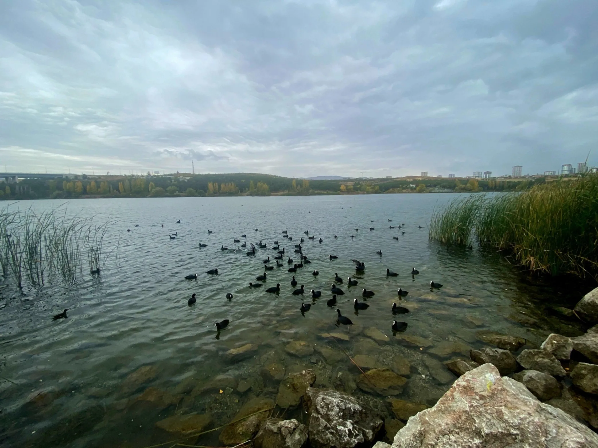 Isimsiz Yokkisi – 1792004541