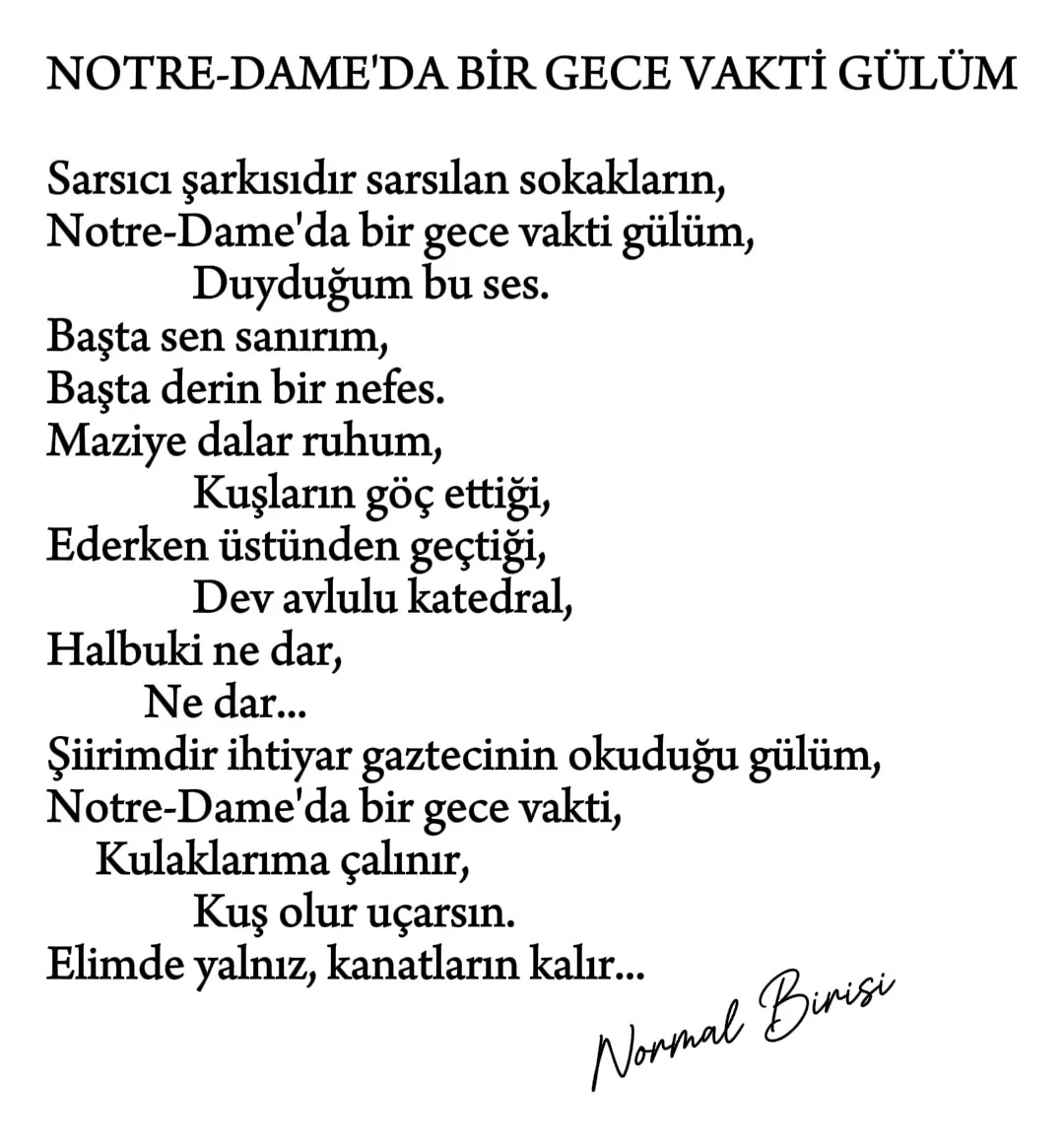 normalbirisi 1792089764