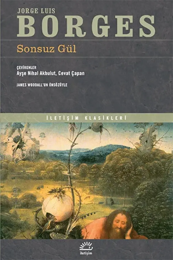 Sonsuz gül