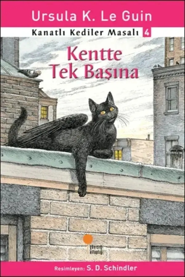 Kanatlı Kediler Masalı 4 - Kentte Tek Başına